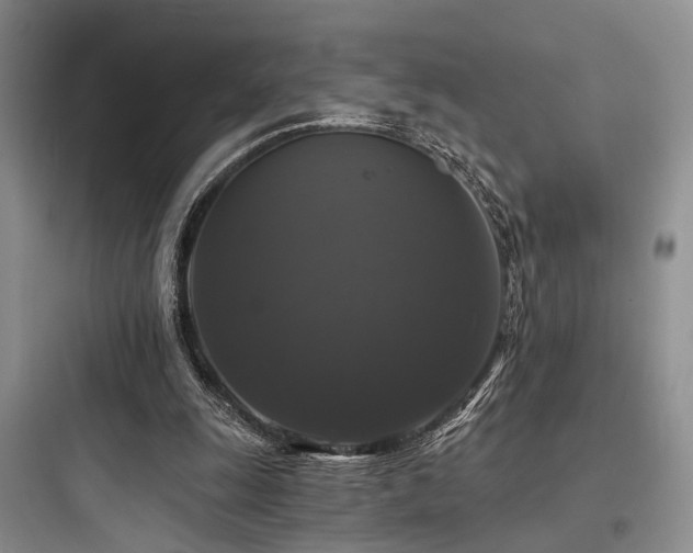 X0000097990247200803241348