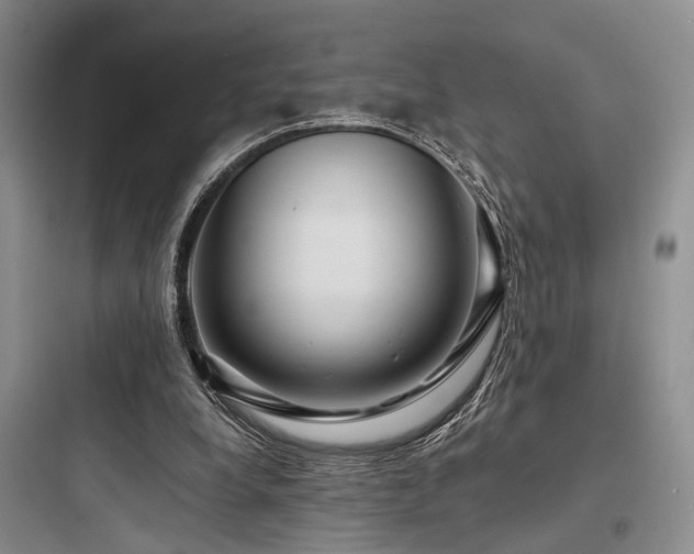 X0000097990248200803241348