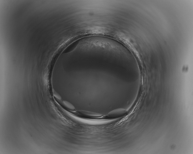 X0000097990249200803241348