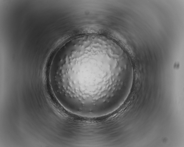 X0000097990250200803241348
