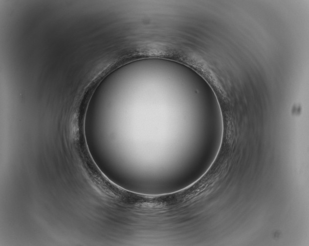 X0000097990251200803241348