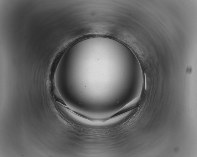 X0000097990252200803241348