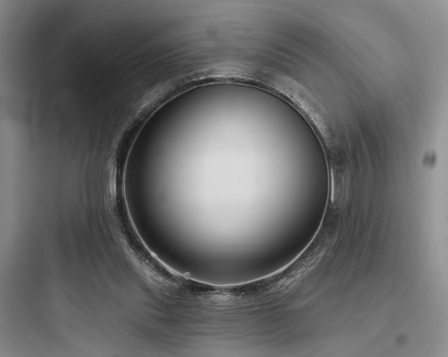 X0000097990253200803241348