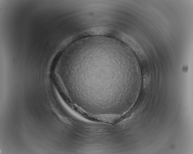X0000097990254200803241348