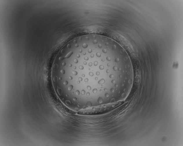 X0000097990255200803241348