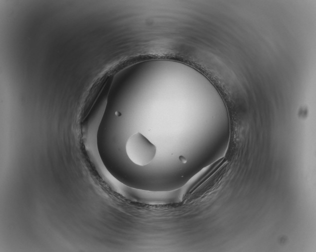 X0000097990256200803241348