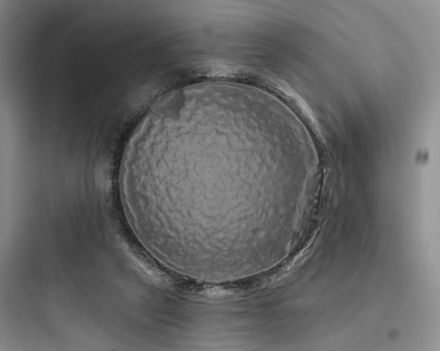 X0000097990257200803241348