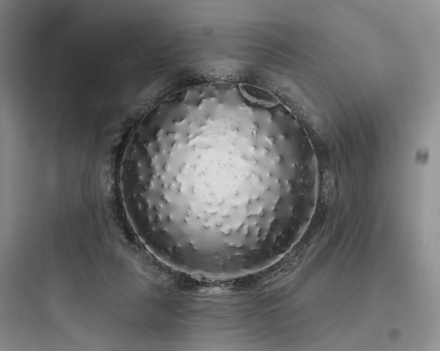 X0000097990259200803241348