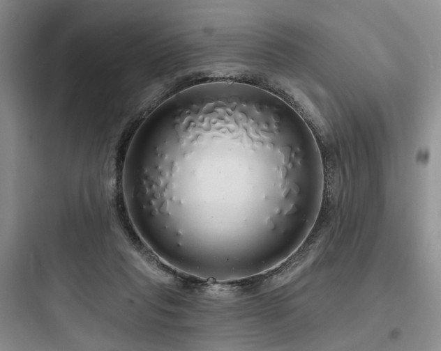 X0000097990261200803241348