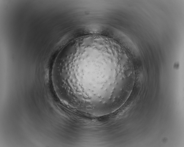 X0000097990262200803241348