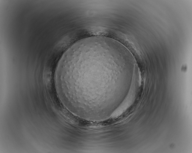 X0000097990263200803241348