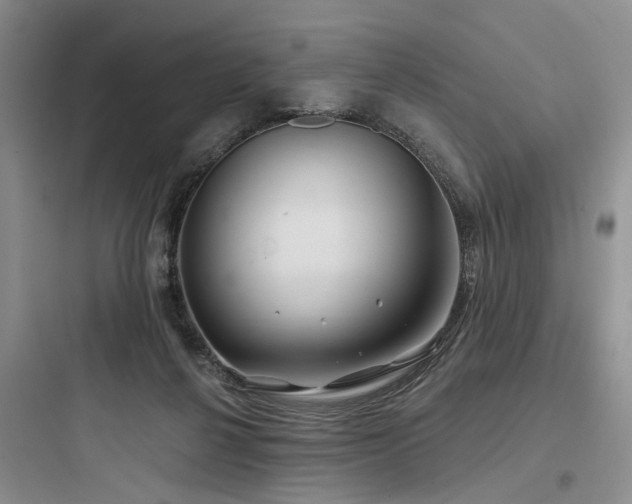 X0000097990264200803241348