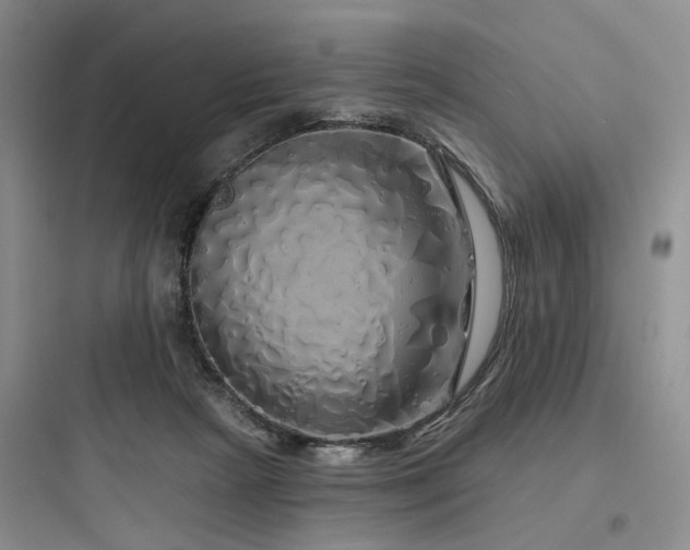 X0000097990265200803241348