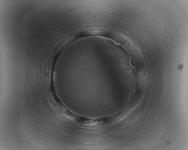 X0000097990267200803241348