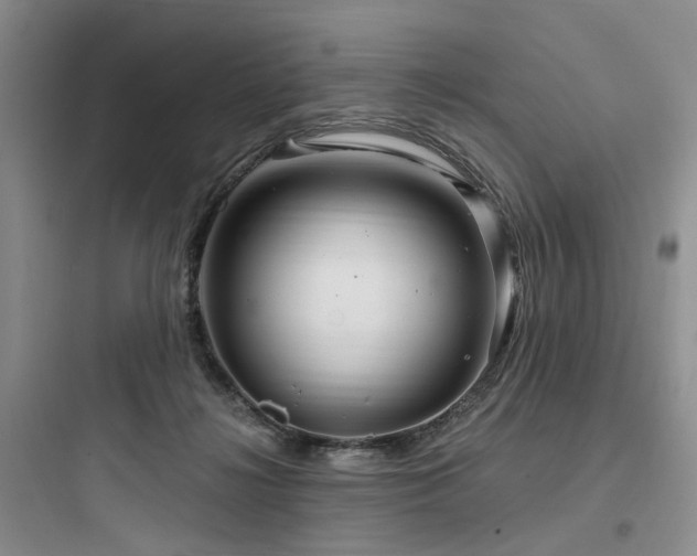 X0000097990268200803241348