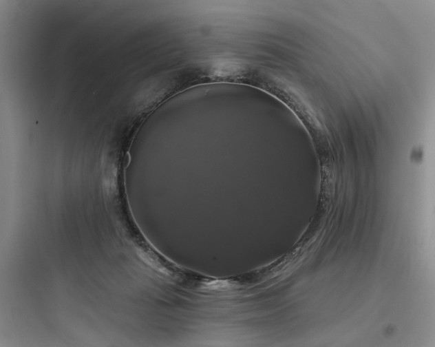 X0000097990269200803241348