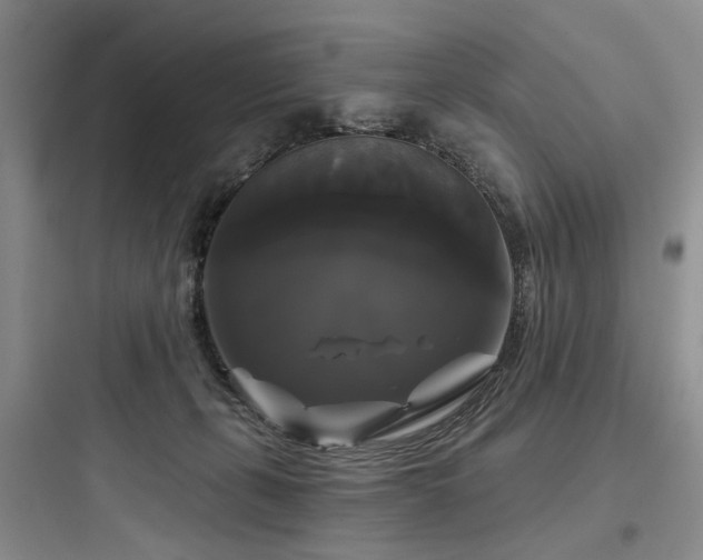 X0000097990271200803241348