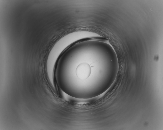 X0000097990272200803241348