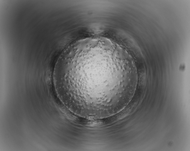 X0000097990274200803241348