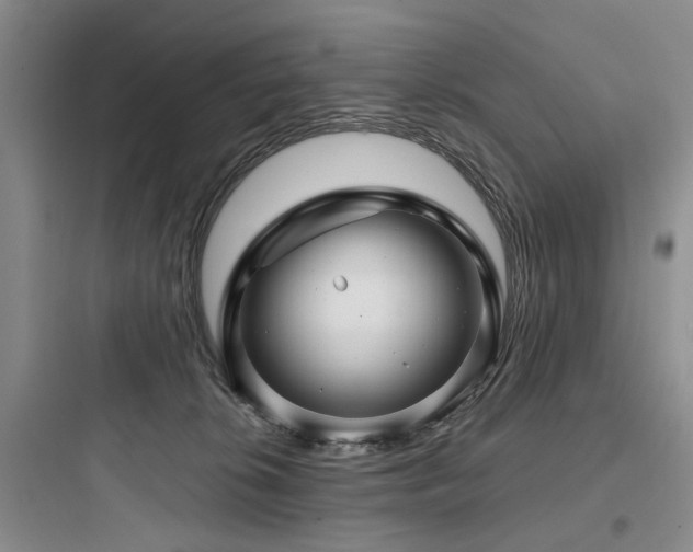 X0000097990276200803241348