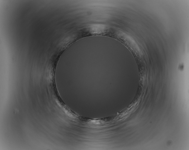 X0000097990277200803241348