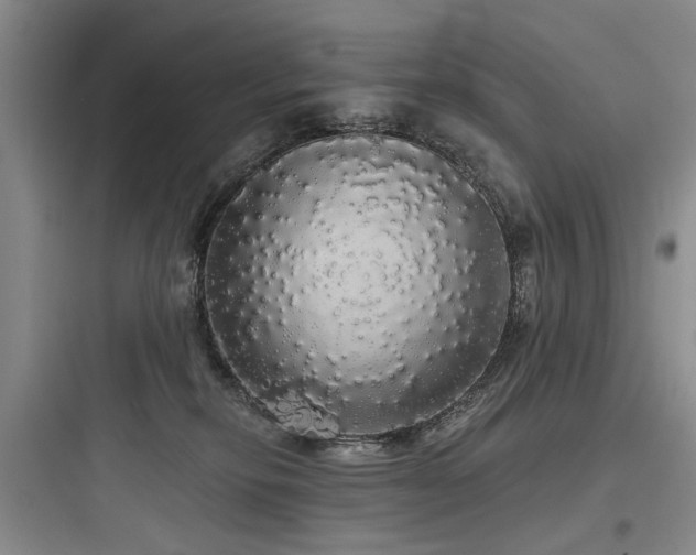X0000097990278200803241348