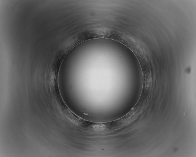 X0000097990279200803241348