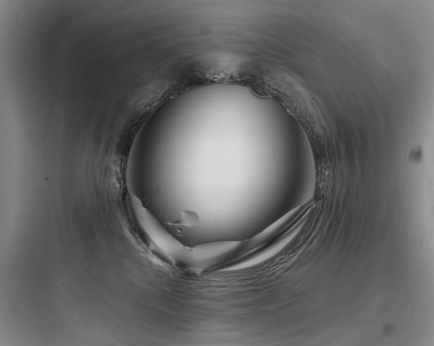 X0000097990280200803241348