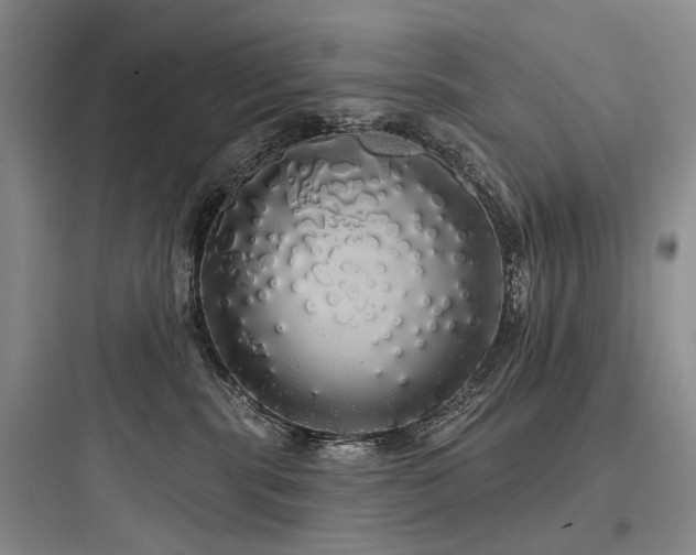 X0000097990283200803241348