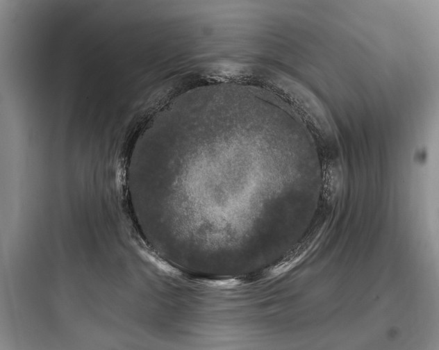 X0000097990284200803241348