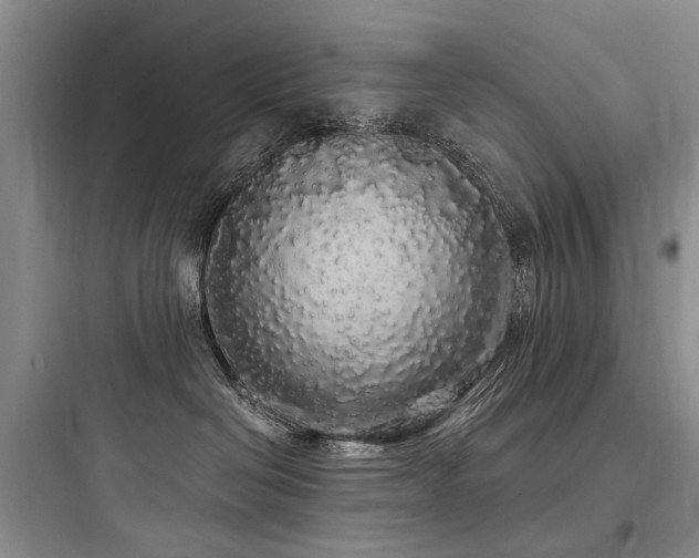 X0000097990286200803241348