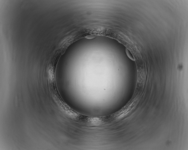 X0000097990287200803241348
