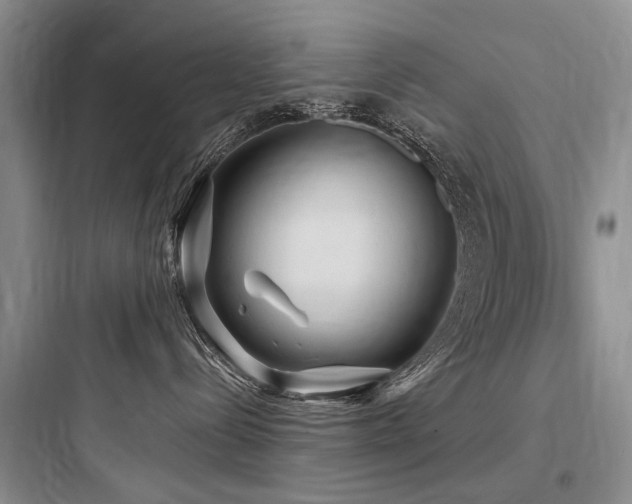 X0000097990288200803241348