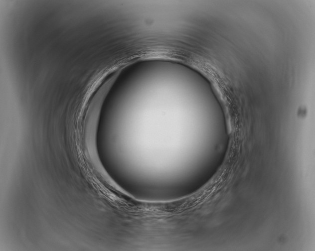 X0000097990289200803241347