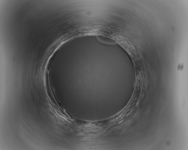 X0000097990290200803241347