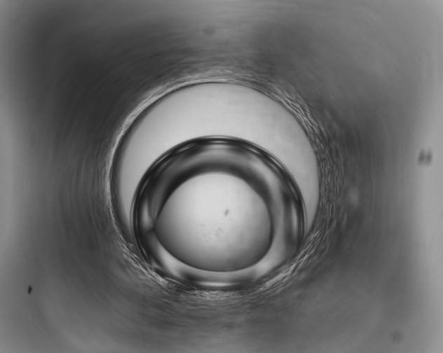 X0000097990292200803241347