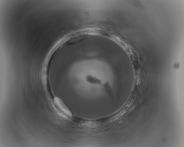 X0000097990293200803241347
