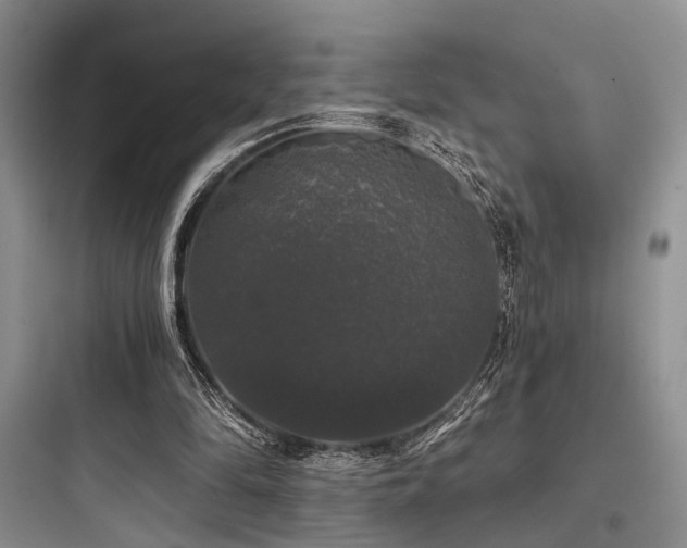 X0000097990294200803241347