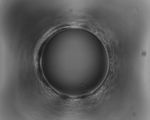 X0000097990295200803241347