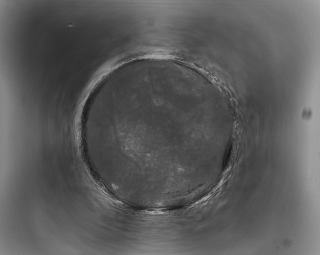 X0000097990296200803241347