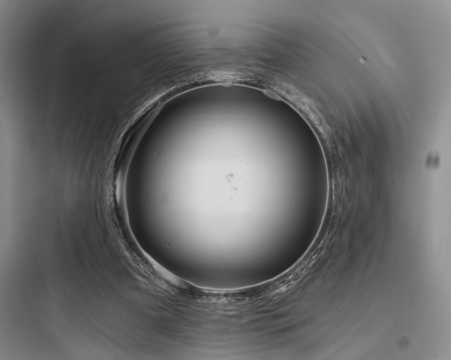 X0000097990297200803241347