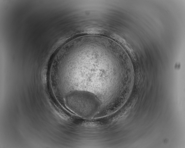 X0000097990299200803241347