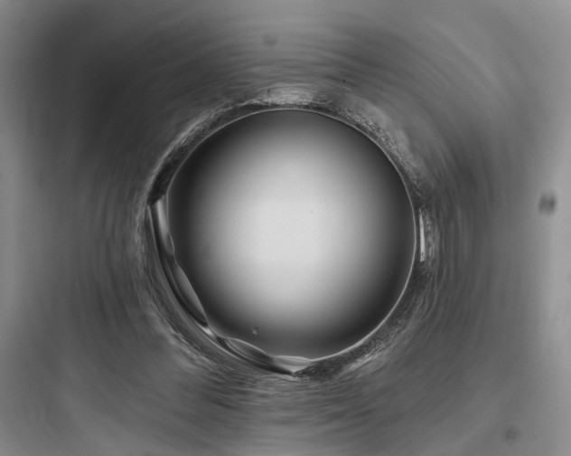 X0000097990300200803241347