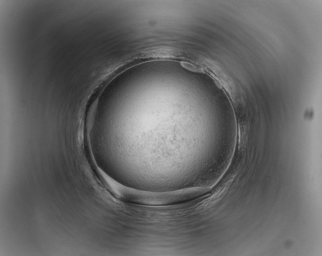 X0000097990301200803241347