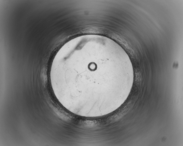 X0000097990302200803241347