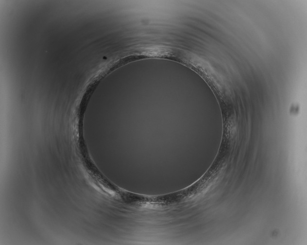 X0000097990303200803241347