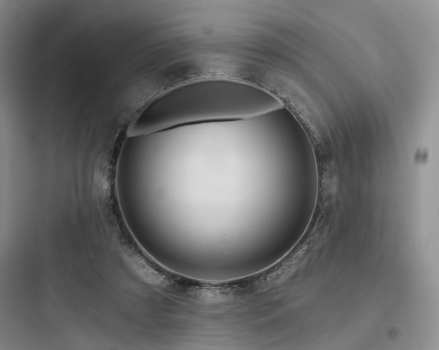 X0000097990305200803241347