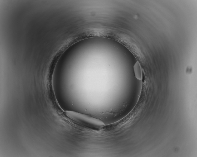 X0000097990306200803241347