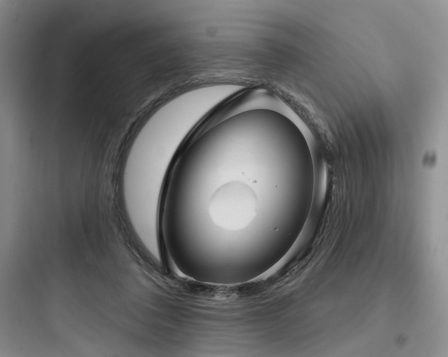X0000097990308200803241347