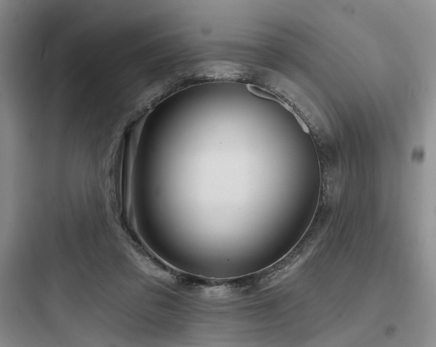 X0000097990309200803241347